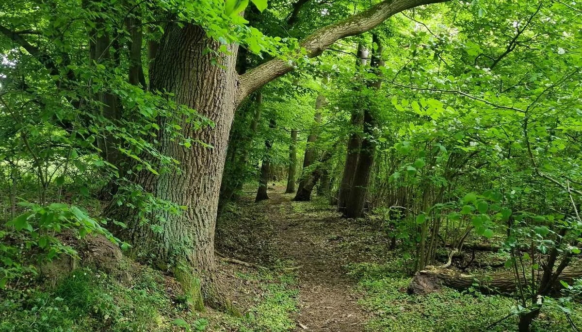 © DAV Lübeck, Verena Behrmann