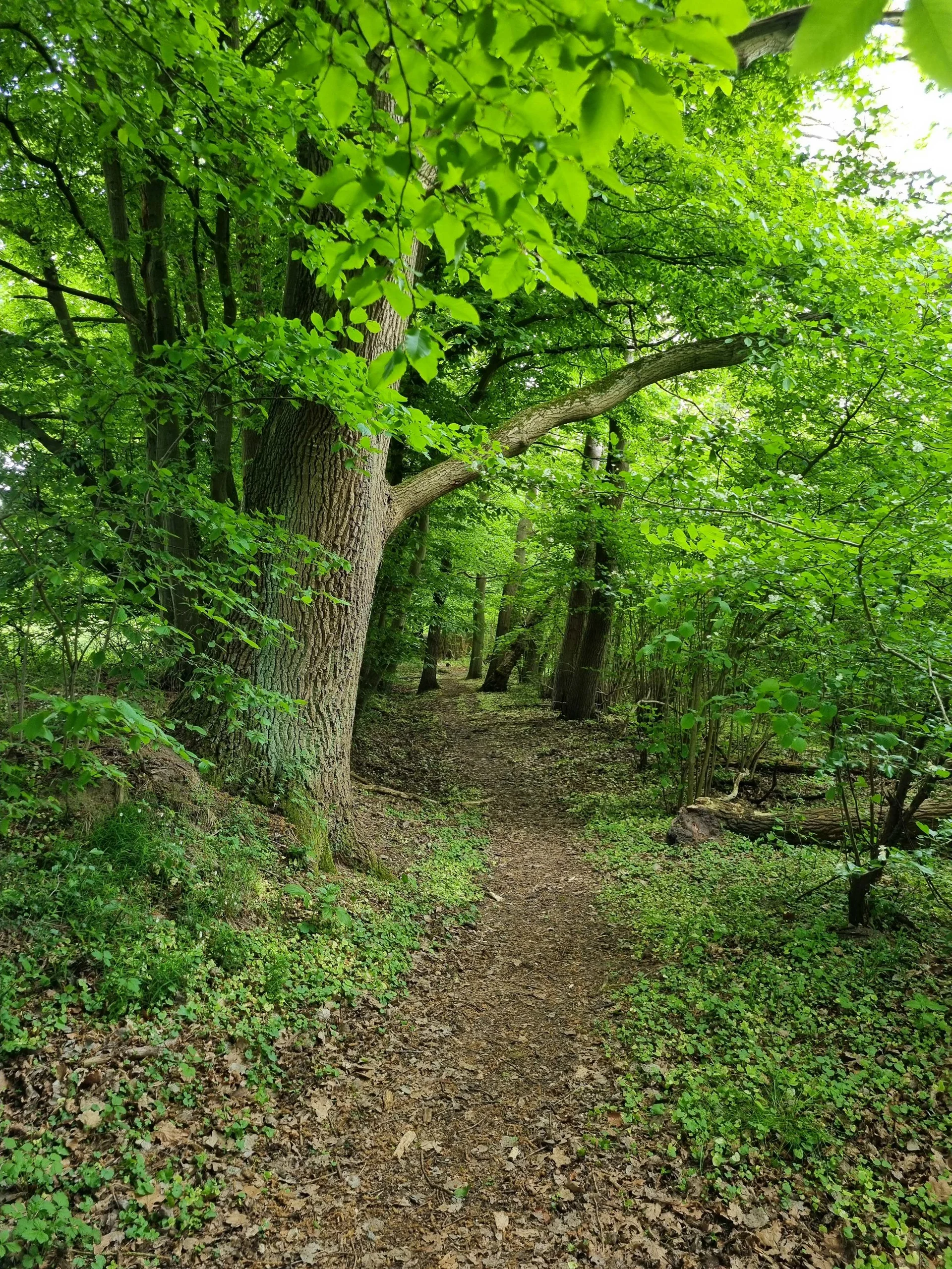 © DAV Lübeck, Verena Behrmann