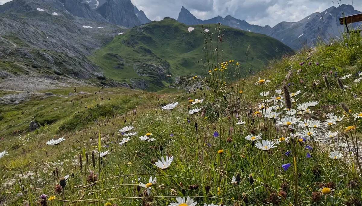 © DAV Lübeck, Peter Küpper