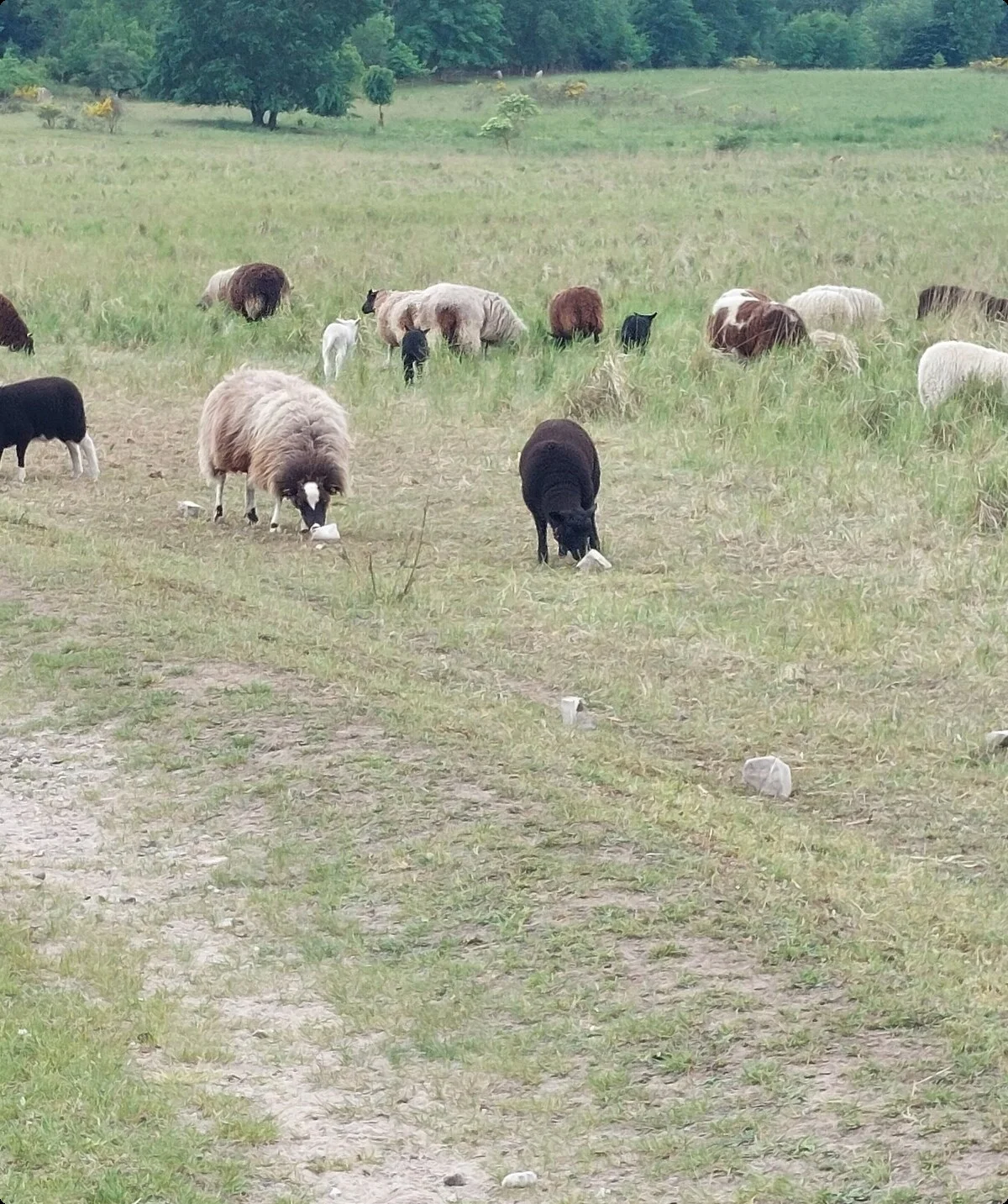 © DAV Lübeck, Andreas Bründel