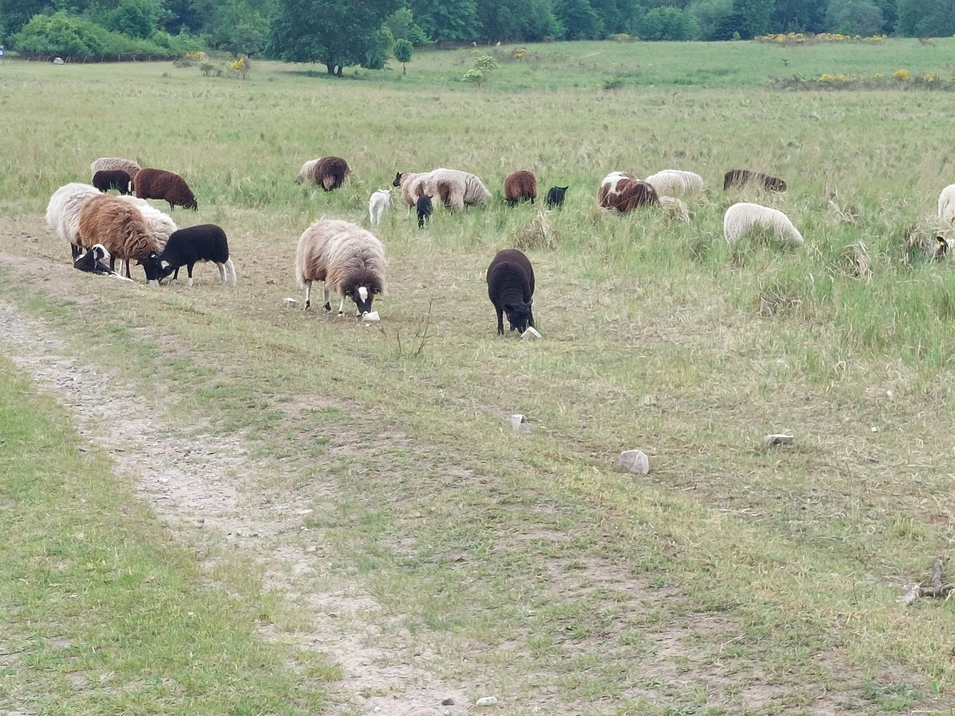 © DAV Lübeck, Andreas Bründel