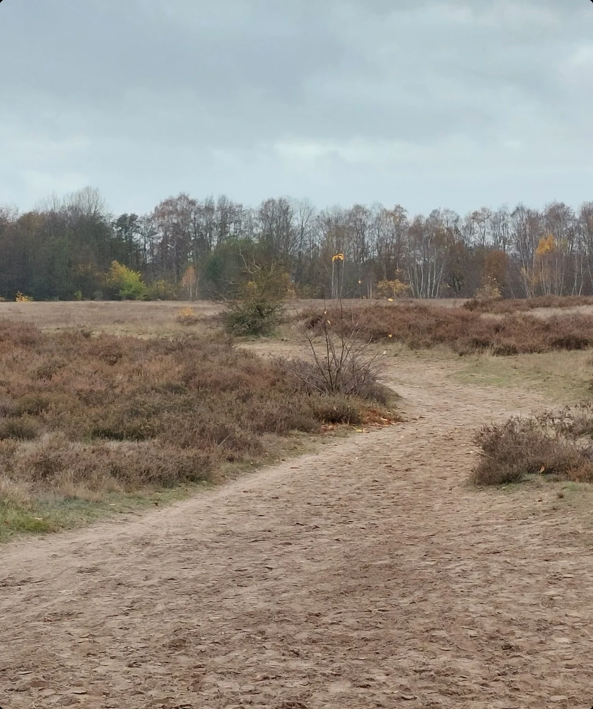 © DAV Lübeck, Andreas Bründel