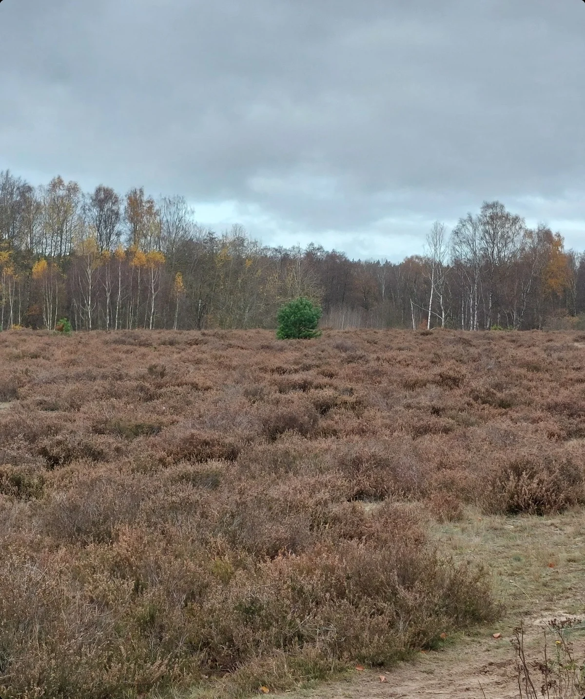 © DAV Lübeck, Andreas Bründel