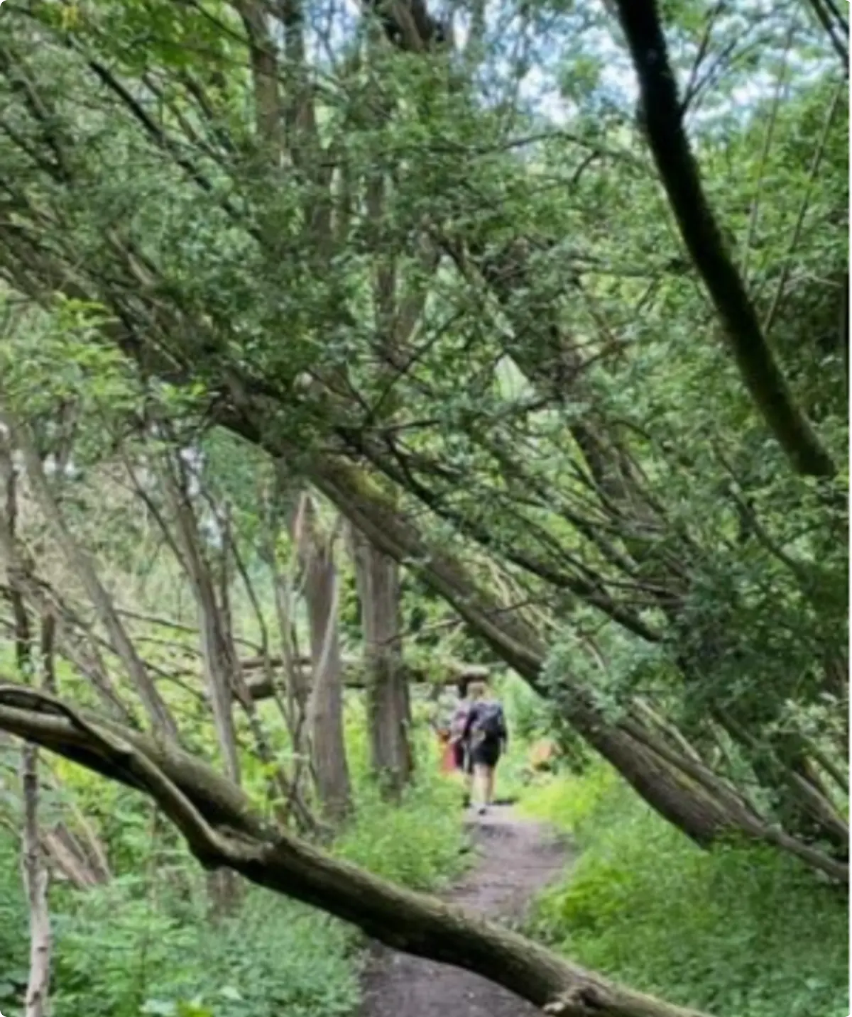 © DAV Lübeck, Jan Mustin