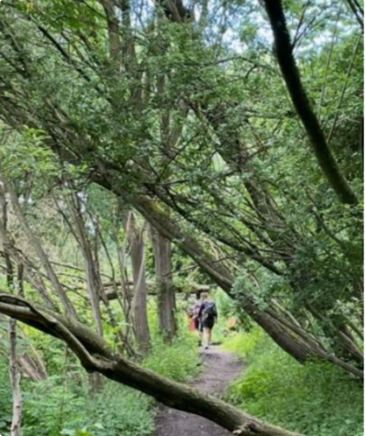 © DAV Lübeck, Jan Mustin