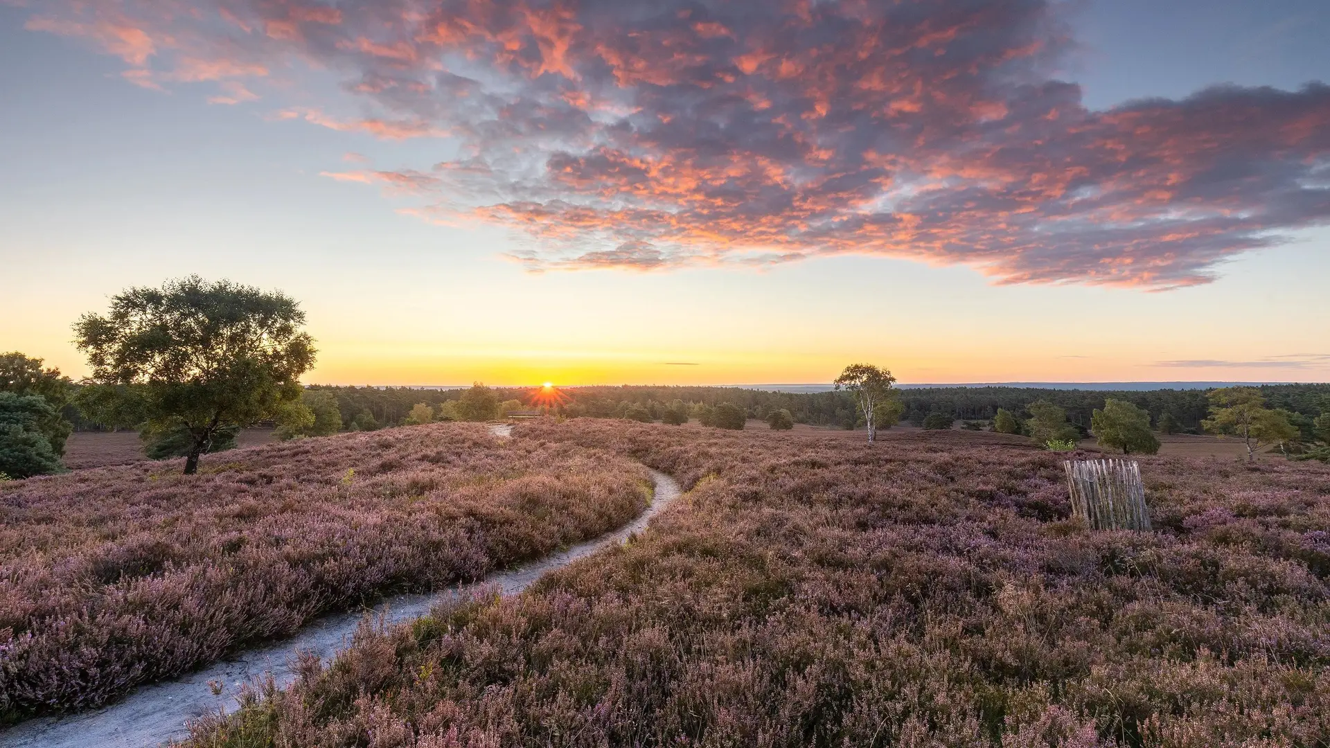 © Lüneburger Heide GmbH