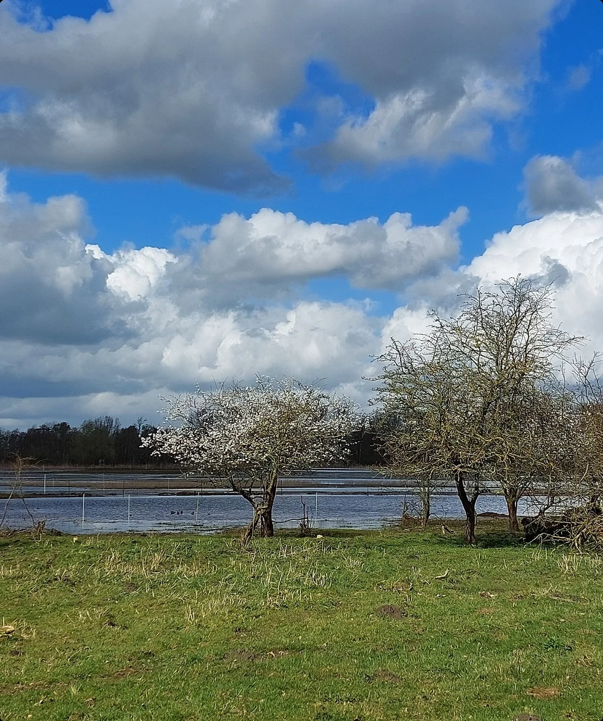 © DAV Lübeck, Reinhardt Falter