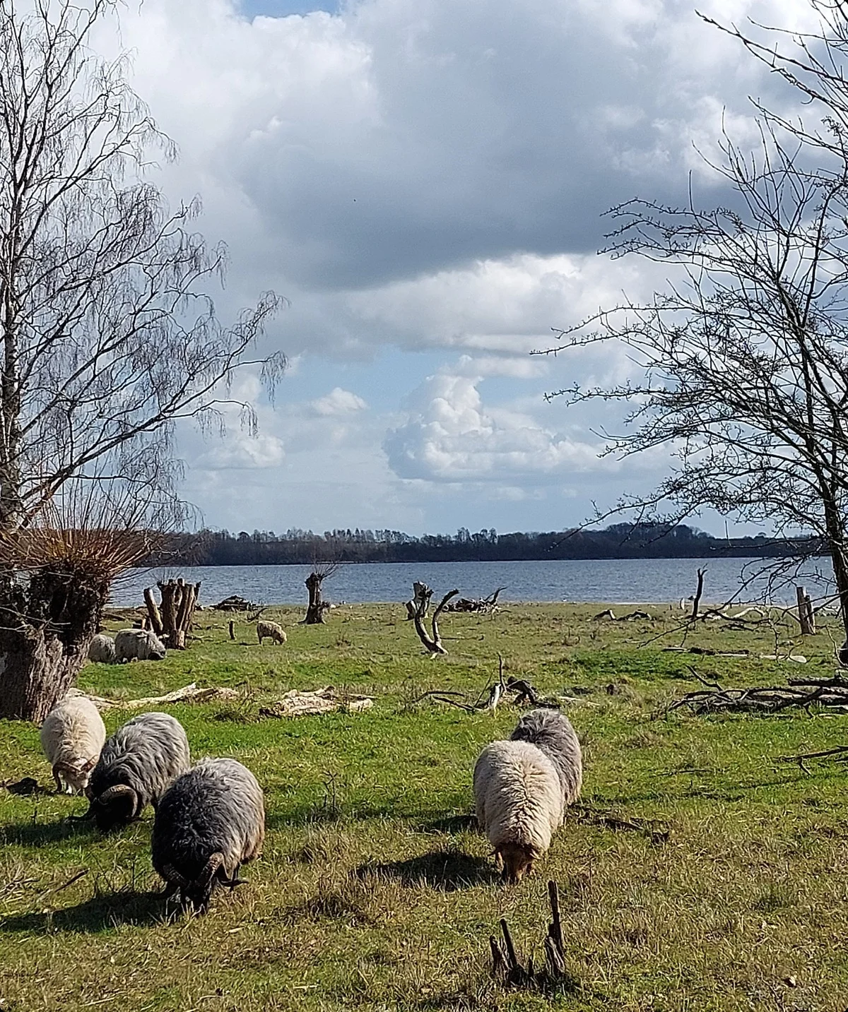 © DAV Lübeck, Reinhardt Falter