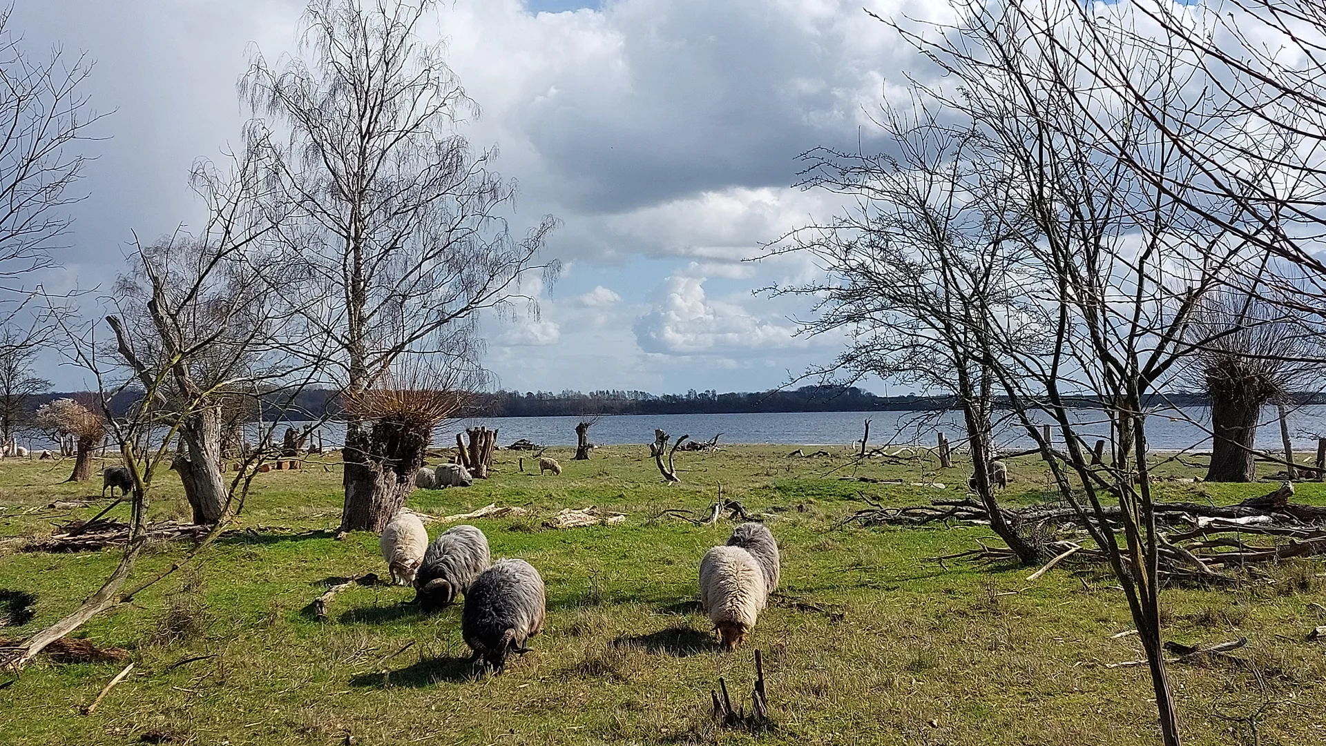 © DAV Lübeck, Reinhardt Falter