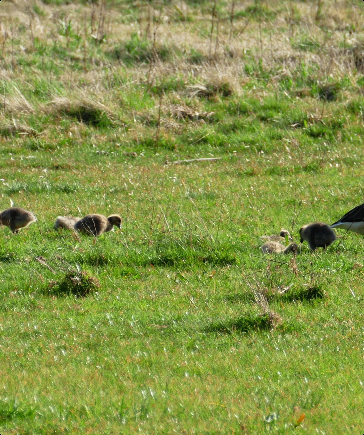 © DAV Lübeck, Reinhardt Falter