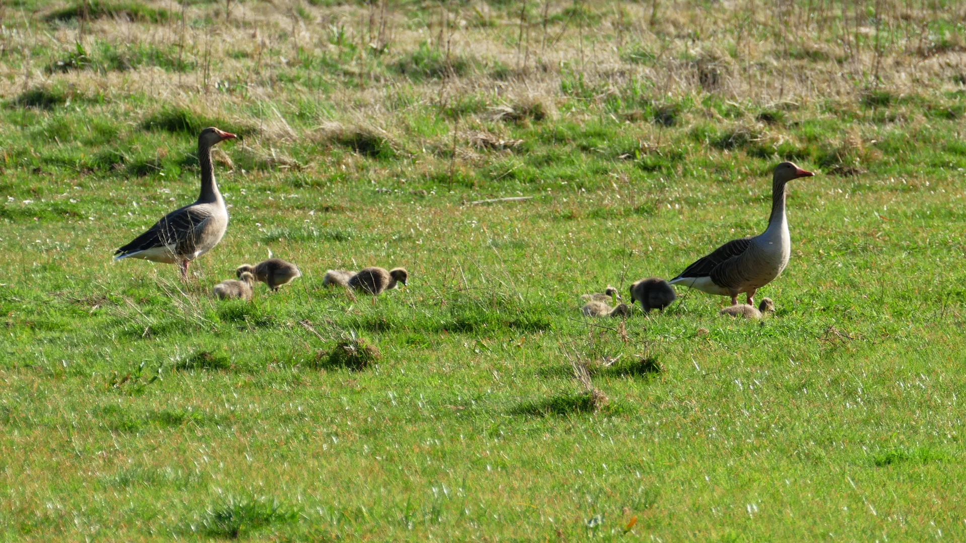 © DAV Lübeck, Reinhardt Falter