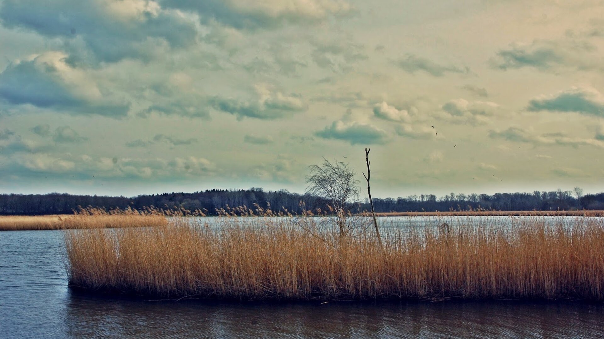© DAV Lübeck © DAV Lübeck