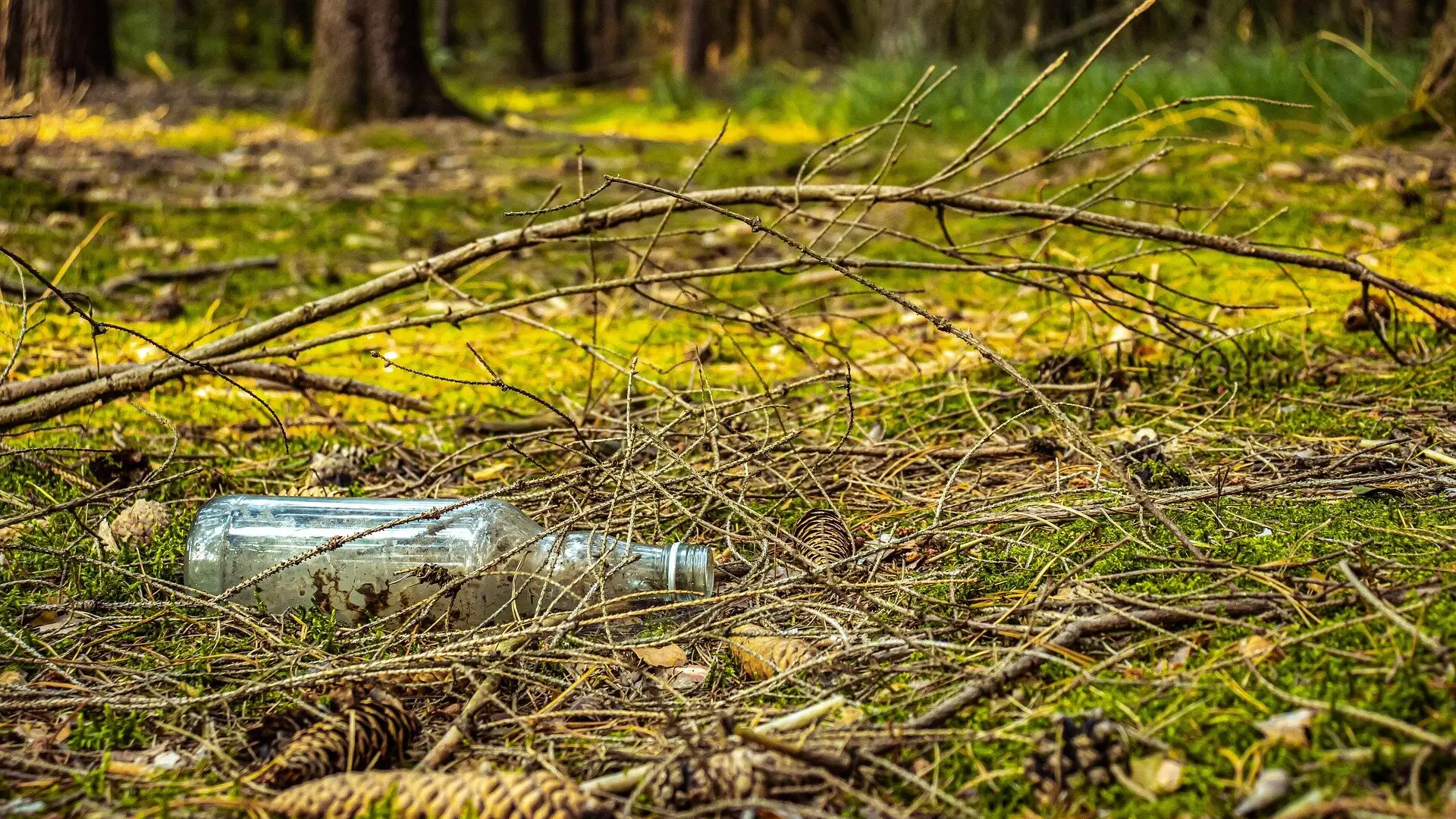 © Kamil Milkowsky / pixabay