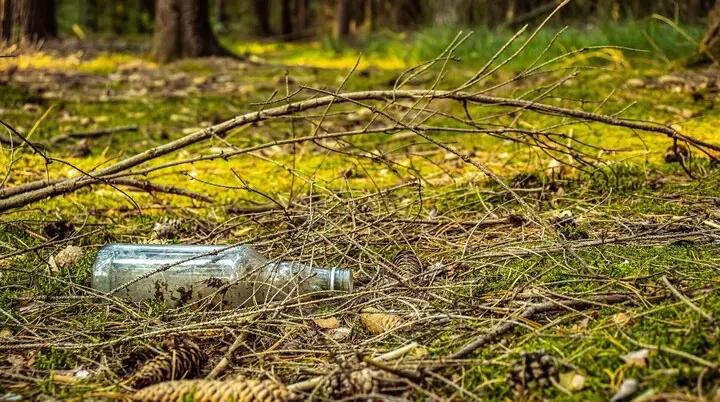 Eine leere Flasche im Wald | © Kamil Miłkowski/ pixabay
